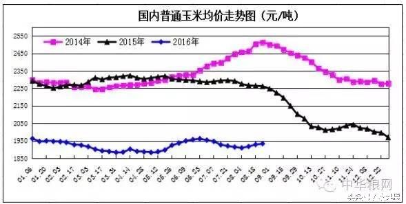 东北玉米补贴150元/亩后，你会低价出售玉米吗？