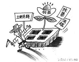 土地经营权流转交易应具备哪些条件？
