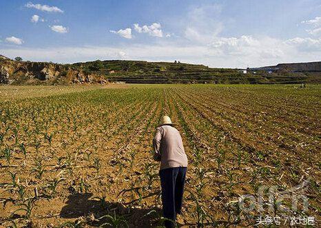 农地圈：土地确权后农地大调整的样本结局是这样！