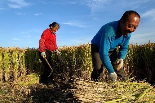 农村老人无需对每个月70元养老金感恩戴德！