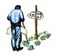 农地圈：每个农民都应知晓的国内粮食困局！