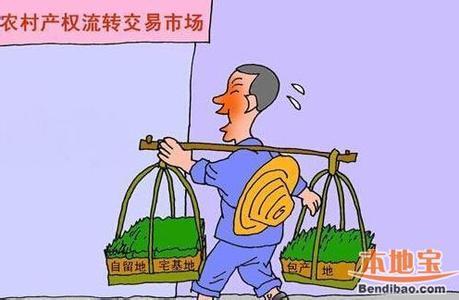 农村耕地宅基地改革到底应该向谁要红利？