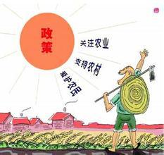 农地圈课堂：农民的“天价”资产转换为收入来源就差临门一脚？