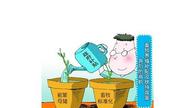 养殖业将迎来“大风暴” 这些机会你要把握好!