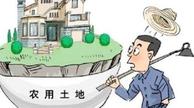 每个农民应该知道：农村土地确权面临四大困境 该如何破