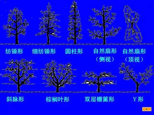 史上最全果树修剪图解