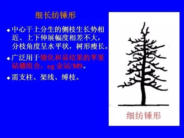 史上最全果树修剪图解