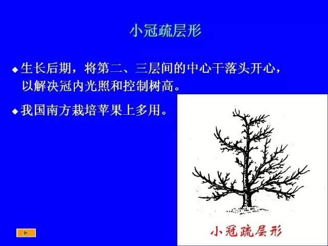 史上最全果树修剪图解