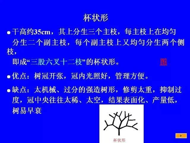 史上最全果树修剪图解