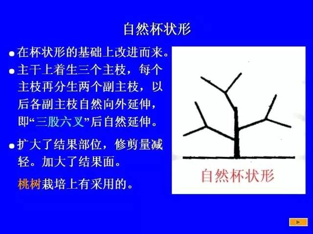 史上最全果树修剪图解