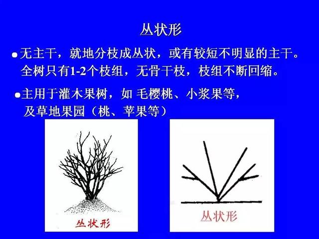 史上最全果树修剪图解