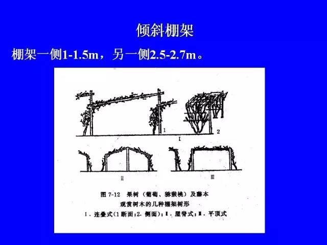 史上最全果树修剪图解