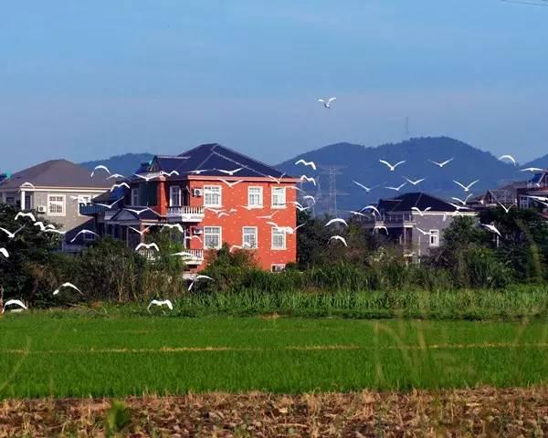 农村生活的9大好处，住在城里的你羡慕不？