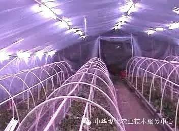 特殊性新型科研肥料，你知道多少？