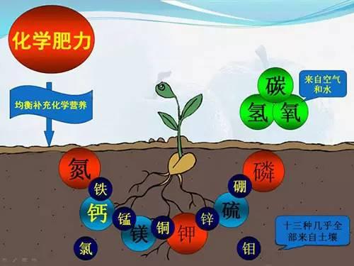 常用肥料技术问题解析（最新整理，强烈推荐）