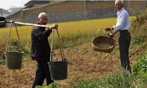 在中国土地上看日本人如何种地