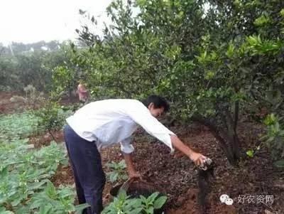 肥料差？影响肥效发挥的因素要了解！