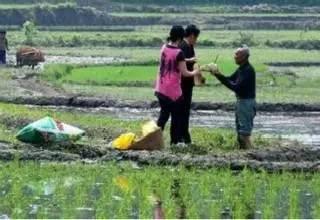 农村人就是这样，说的一点都不假！