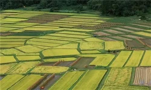 没有土地和宅基地？满足这3点可以申请