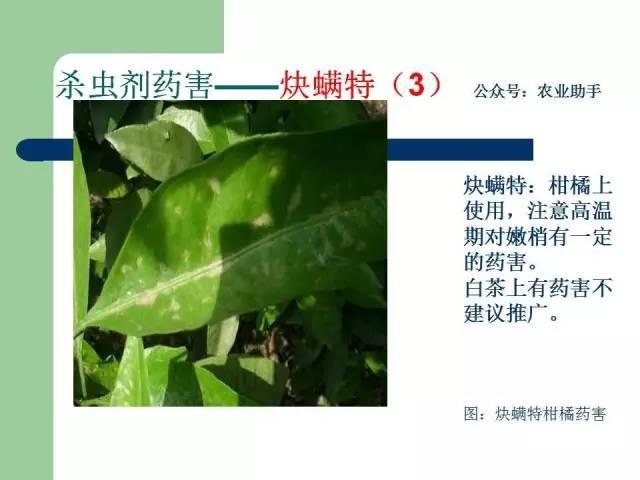 农药药害高清图谱（史上最全版）