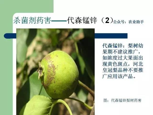 农药药害高清图谱(史上最全版)