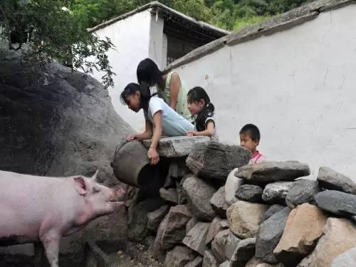 那些年，在农村吃过的苦，看哭了！