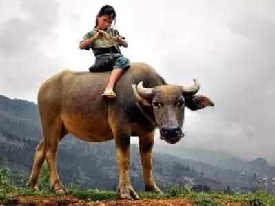 那些年，在农村吃过的苦，看哭了！