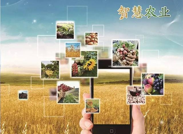 iagri china 2016中国国际智慧农业应用与创新发展高峰论坛