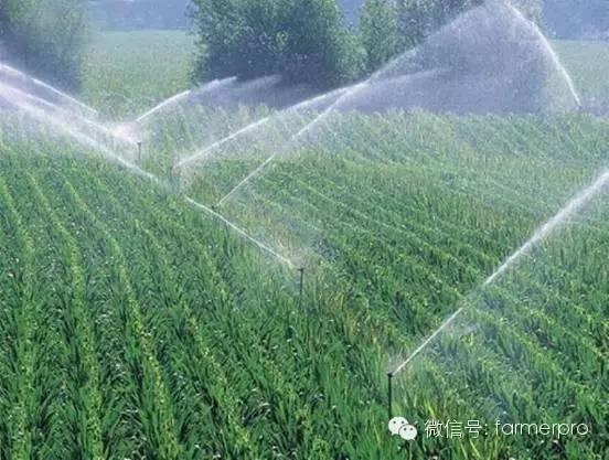 关于农业节水灌溉技术，你了解多少？