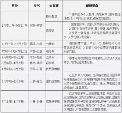 被欧美和日本广泛采用的果园覆草法，你用了吗？