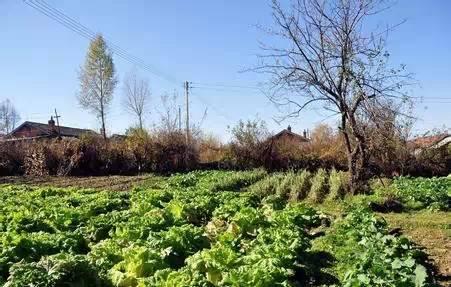 一小伙回农村自己盖了一栋别墅！造好后一算花的钱让我看哭了！