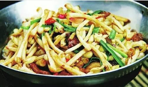 把花生发成芽，奇迹发生了！