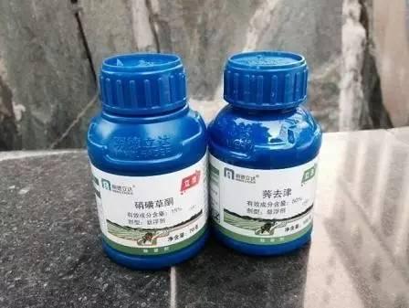 种玉米的都请注意:调整种植结构不是那么简单,除草剂用不对,下茬作物会遭殃!