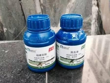 种玉米的都请注意：调整种植结构不是那么简单，除草剂用不对，下茬作物会遭殃！