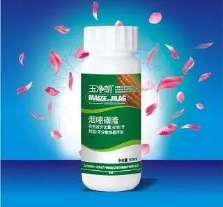 种玉米的都请注意:调整种植结构不是那么简单,除草剂用不对,下茬作物会遭殃!