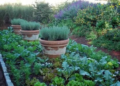 种菜的最高境界，让庭院更美