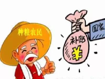 央视公布：玉米补贴每斤2毛钱，每亩约170元