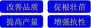 史上最全肥料知识 ！