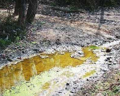 我国每年1200万粮食受土壤重金属污染