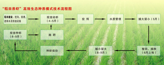 综合种养让农民增收不再难1.jpg