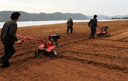 我国耕地土壤环境质量状况分析