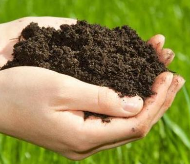 山东召开土壤污染防控修复技术研讨会