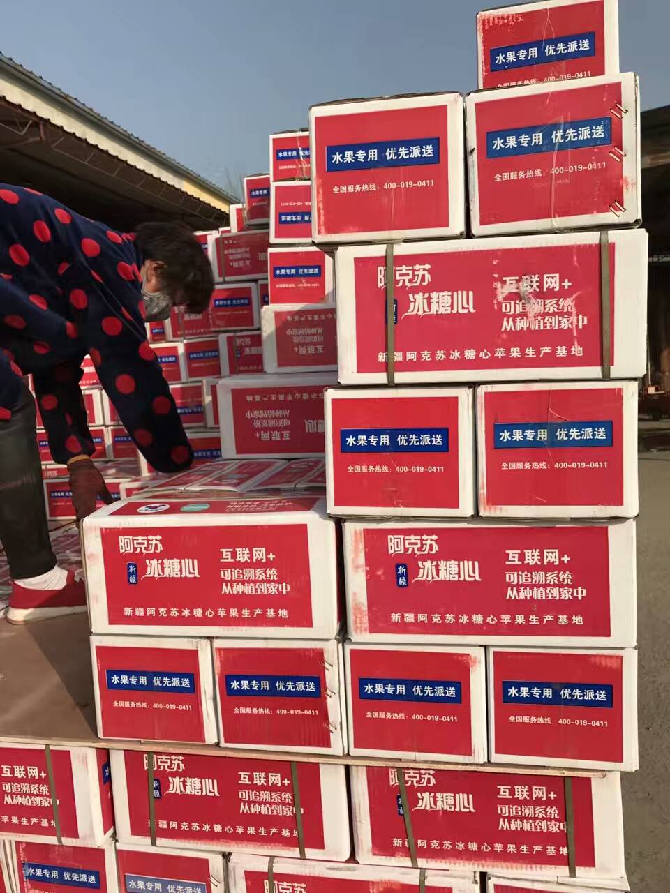 阿克苏苹果穿“棉衣”  新疆以林果园将品质快递到家