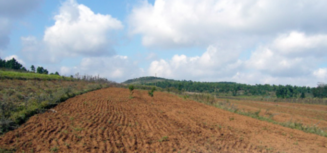 国土部：集中连片耕地后备资源减幅达74%.png