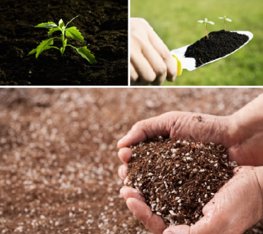 有机肥产业亟需“肥沃土壤”