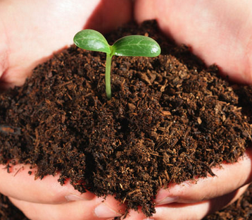 南京土壤所建立土壤钾素生物有效性分级标准及方法体系