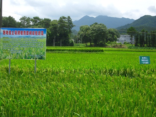  “施地佳”连续两年同田四季水稻地酸化土壤调理示范应用