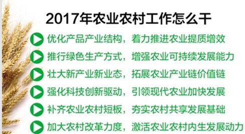 2017年中央一号文件说了些啥？.jpg
