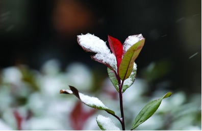 小雪有利增加土壤墒情