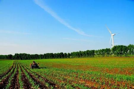 甘肃今年粮食种植面积将达到4100万亩以上.jpg